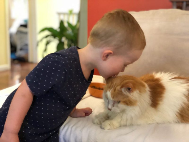 AtHome Pet Euthanasia S8 Expert Recruitment Solutions